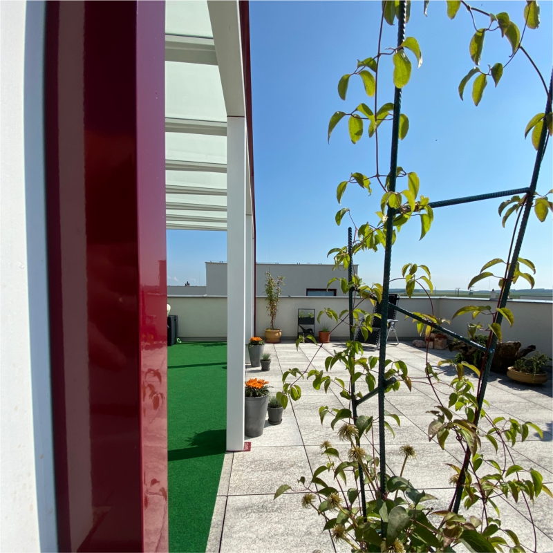 Timber CUBE - Zakázkové zastřešení terasy s barevnou kombinací lazury OSMO v odstínu bílého smrku a hliníkových prvků v provedení RAL 3005 - vínově červená (lesklá).